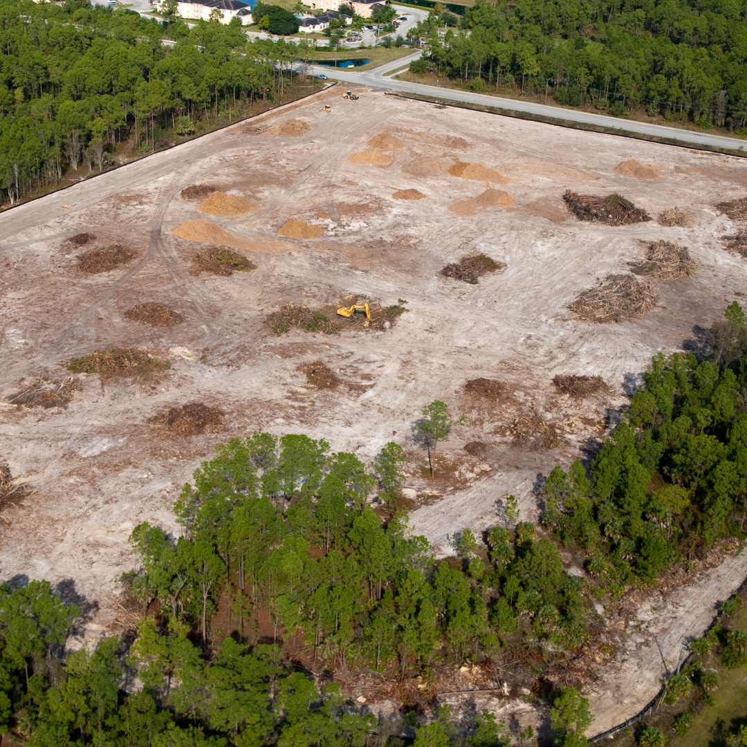 site clearing