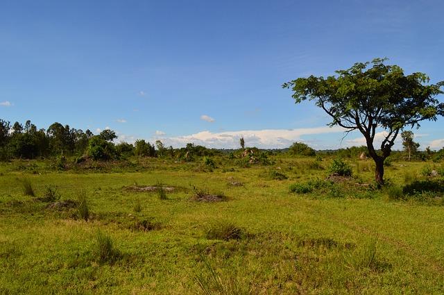how to sell land by owner