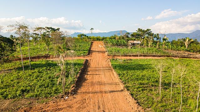 5 Benefits of Seeking for an Agriculture Realtor’s Services