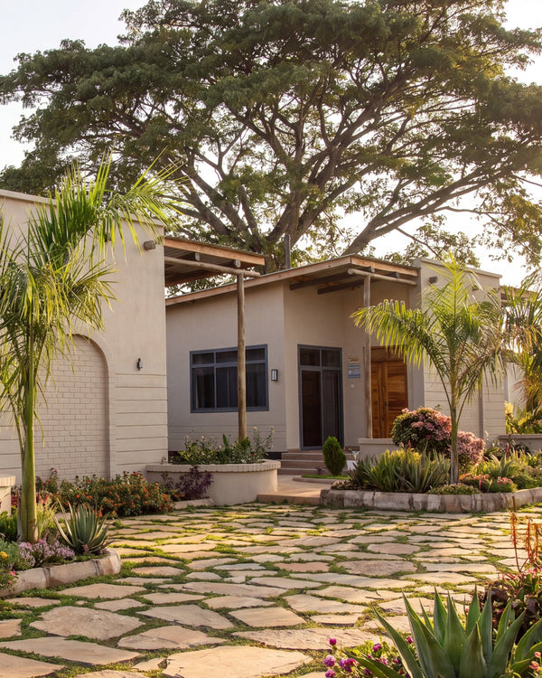 A modern single-story villa with cream-colored stucco walls, dark-framed windows, and a stone pathway leading through a landscaped garden with palm trees and potted plants under a large tree.