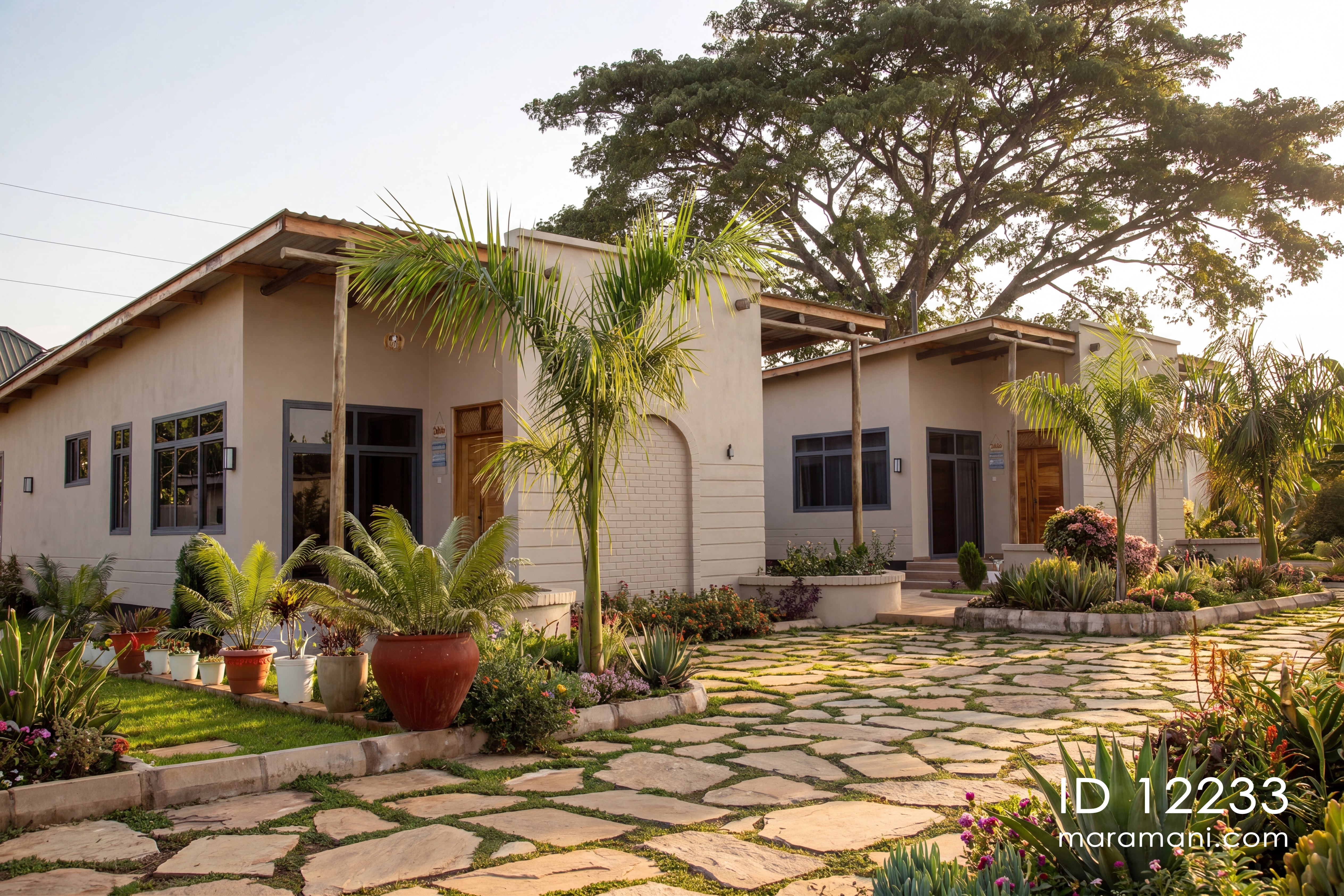 A modern single-story villa with cream-colored stucco walls, dark-framed windows, and a stone pathway leading through a landscaped garden with palm trees and potted plants under a large tree.